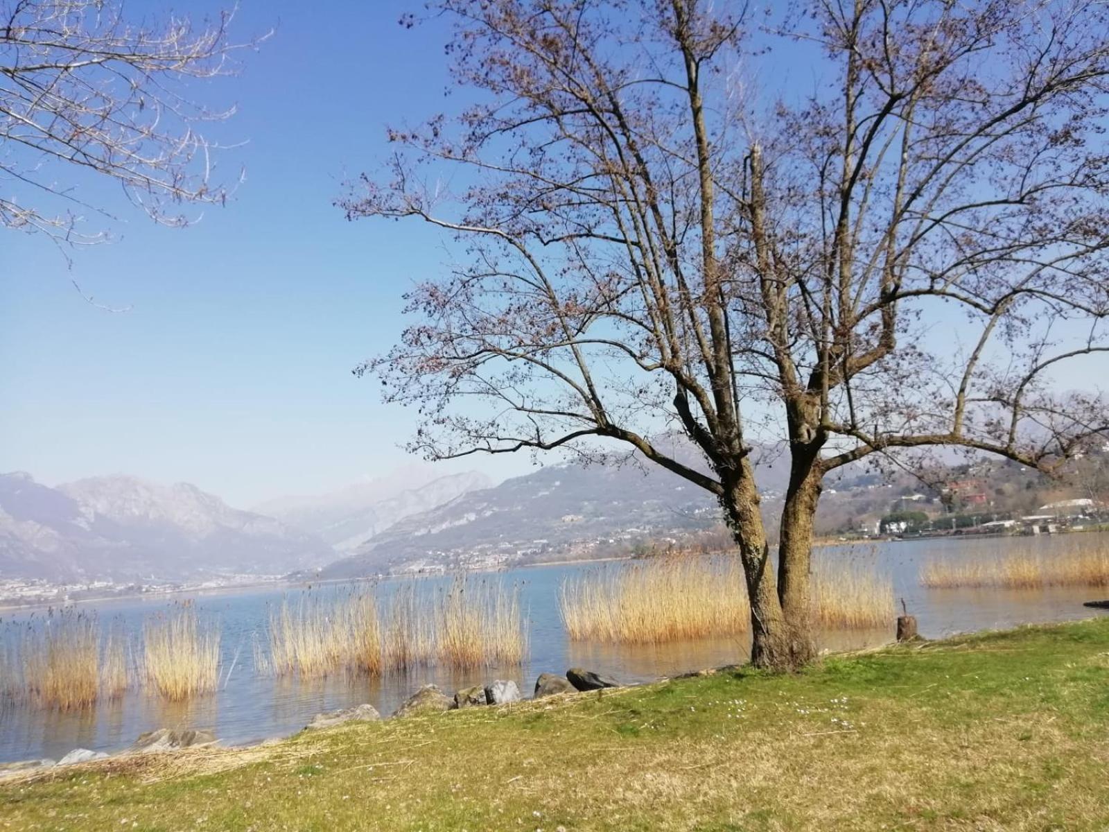 La Poesia Del Lago Oggiono Exterior photo